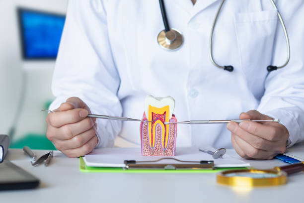Best Same-Day Emergency Dentist in Burleson, TX